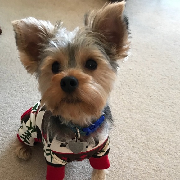 Meet your Posher, Carlee - Picture 1 of 1